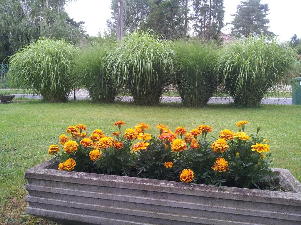 Hajas Família Kiadó Szobák Balatonmáriafürdő Exterior foto