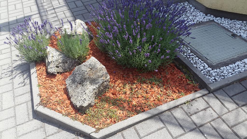 Hajas Família Kiadó Szobák Balatonmáriafürdő Exterior foto